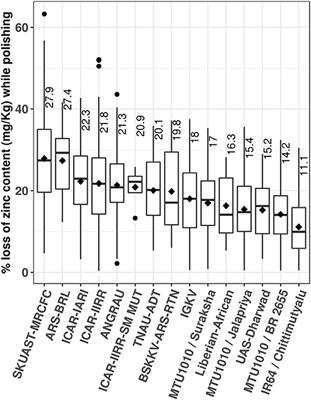 Zinc Biofortified Rice Varieties: Challenges, Possibilities, and Progress in India